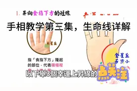 手相教学第三集，生命线详解
