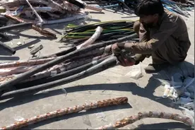 老巴暴力的电缆回收行业，只要能收到就稳赚不赔