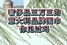 你知道三万三的意大利品牌的围巾吗咱们可以自己照着来编织一条的