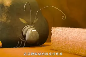 震惊！蚂蚁之间展开一场世纪大战，起因竟然是为了争夺一颗糖……