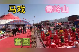 西安的马召十一古会开始了，会期十天，吃喝玩乐应有尽有视频封面