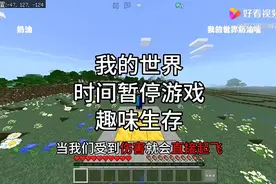 我的世界时间暂停游戏趣味生存当我们受到伤害就会起飞奶油自制