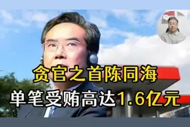 原中石化董事长，单笔受贿1.6亿，只收了五次钱却高达两亿元！视频封面