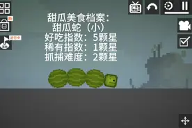 甜瓜美食档案：甜瓜蛇