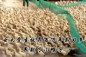 高考美女状元回农村养鸭子年入百万