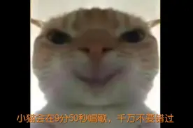 小猫会在9分50秒唱歌