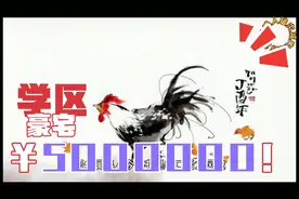 2024年属鸡人破灾解灾的方法