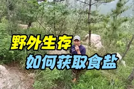 野外生存环节，如何获取食盐