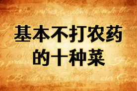 基本上不打农药的10种菜！