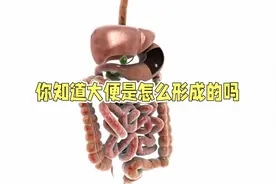 原来大便的形成过程是如此神奇视频封面