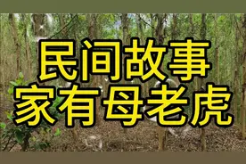 【民间故事】家有母老虎。视频封面
