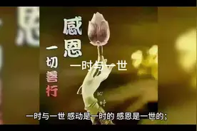 感恩与善行，一时的感动，一世的感恩。🌺🙏
