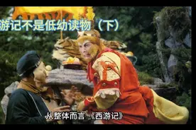 西游记不是低幼读物（下）视频封面