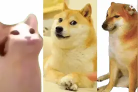 表情包界三巨头视频封面