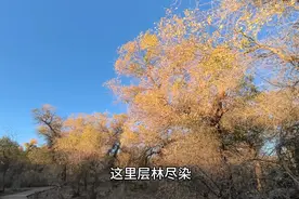 自驾中国最孤独的G7京新高速，位于巴丹吉林沙漠无人区路段。