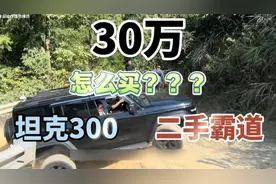 坦克300和丰田霸道爬坡对比，谁的实力更强？#坦克300 #丰田霸道