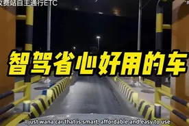 一口气看明白如今智驾能力天梯排行榜#智驾 #华为 #小鹏汽车 #理