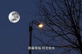 农村土葬抬棺讲究视频封面