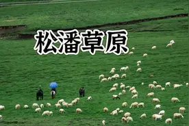 红军长征在悲壮中踏过的毛尔盖松潘大草原，如今还危险吗？