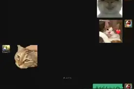 《俱乐部逆天野猪亨利》