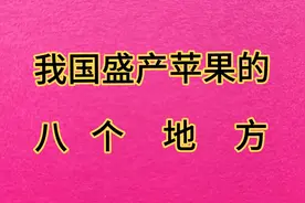 我国盛产苹果的八个县，你去过吗？视频封面