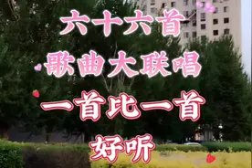 六十六首歌曲大联唱，一首比一首好听！