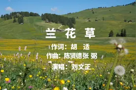 歌曲《兰花草》，演唱：刘文正。视频封面