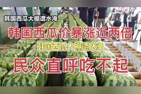 韩国西瓜价暴涨近两倍，民众直呼吃不起视频封面