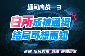 白所成被通缉，结局可想而知。视频封面
