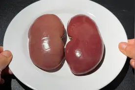 猪腰切记别用清水洗，等于吃毒素，教你一招，毒素和腥味全都跑光