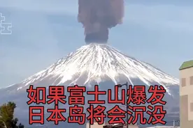 如果日本爆发战争，要怎样才能快速干掉他，俄国专家早就给出答案
