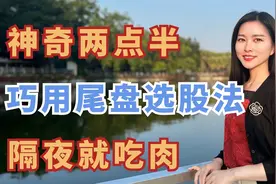 A股：神奇两点半，尾盘选股法，主力不愿透露的秘密视频封面