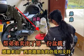 弟弟的盆栽没有销路卖不出去，回来8天，总算帮他谈成第一份订单视频封面