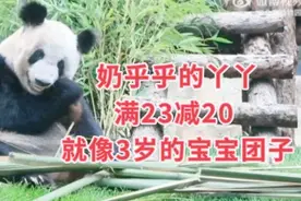 7.28丫丫终于恢复得奶乎乎的了！满23减20，就像3岁的宝宝团子！视频封面