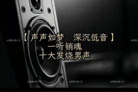 【声声如梦 深沉低音】一听销魂十大发烧男声
