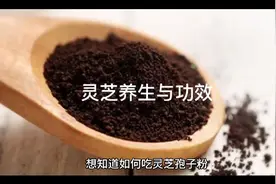 灵芝功效与作用