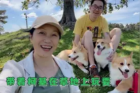 悉尼的奥林匹克公园环境真好，狗子在这里尽情的撒欢，就是人太少