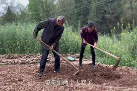 亲家之间就该这样相处，谁家有事都相互帮忙，关系融洽的让人羡慕视频封面