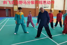 赵幼斌老师分解太极拳野马分鬃与斜飞式的区别