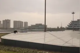 聊城高铁站即将开通，聊城进去全国高铁圈，欢迎大家来聊城！视频封面