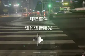 “胖猫”事件谭竹语音曝光，这个女人真的太狠了视频封面