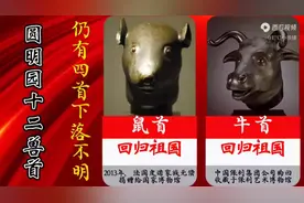 十二生肖十二肯四首下落个明视频封面