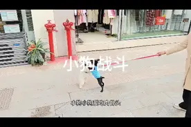 战斗民族小跳跳一英国火梗视频封面