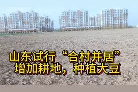 山东试行“合村并居”，增加耕地，种植大豆视频封面