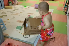 多米：一周岁萌娃越来越淘气，拎起纸箱连跑带颠，太逗了视频封面