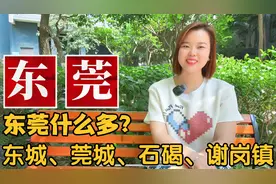 广东省东莞地名由来：东城、南城、万江、莞城、石碣镇、石龙镇视频封面