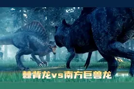 当南方巨兽龙遭遇陆地最大成年棘背龙，谁更强呢？
