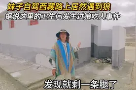 西藏阿里无人区狼吃人事件