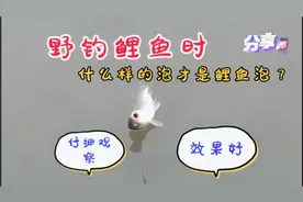 野钓鲤鱼时，什么样的泡才是鲤鱼泡呢？