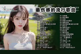 2025年最新车载情歌伤感歌曲二十首，一个半小时加长版
